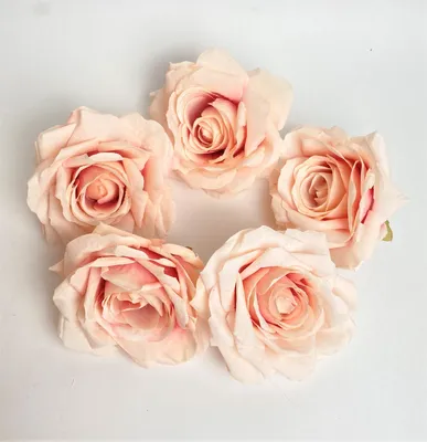 Фотографии прекрасных роз из ткани в разных форматах