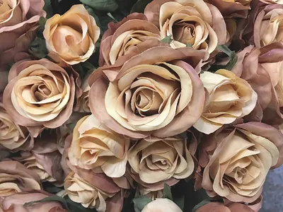 Изысканные розы из ткани на фото в высоком разрешении