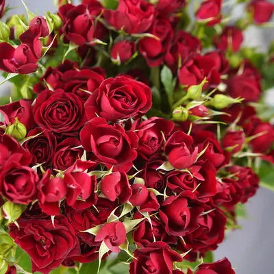 Изысканные цветочные композиции из кустовых роз на фото