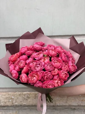 Море розовых красок на фотографиях кустовых роз