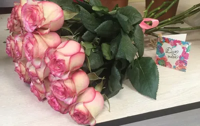 Изображение роз на окне для печати