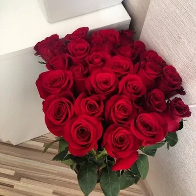 Розы на полу: фото высокого разрешения в формате jpg