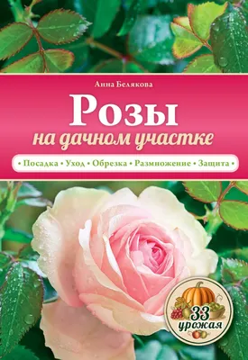 Бесподобные розы на фото