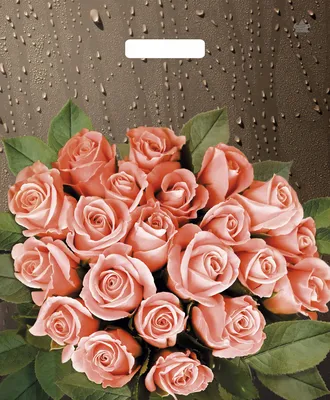 Великолепные розы после дождя: фото в формате png для скачивания