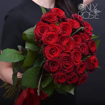 Фотка темно красных роз в живописном формате