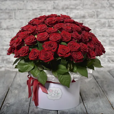 Темно красные розы: качество и эстетика