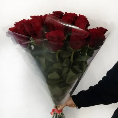 Фото, которое отразит красоту темно красных роз