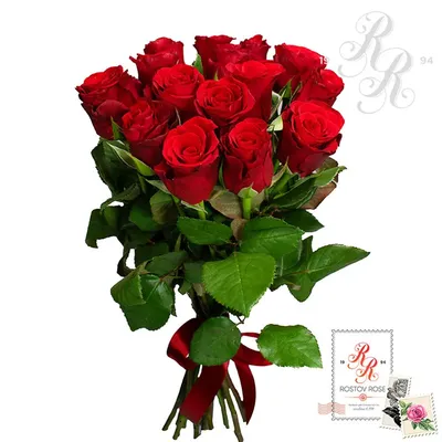 Фотка темно красных роз для элегантного стиля