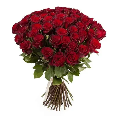 Изображение темно красных роз в прекрасном качестве