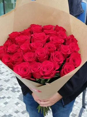 Фото темно красных роз: погрузитесь в мир их невероятной красоты