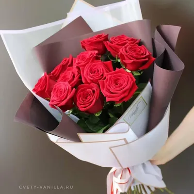 Изысканная фотография темно красных роз, отражающая их изящество