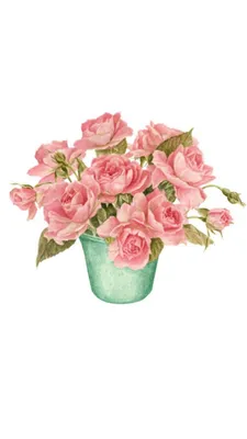 Розы в горшках: яркие и сочные цветочные композиции