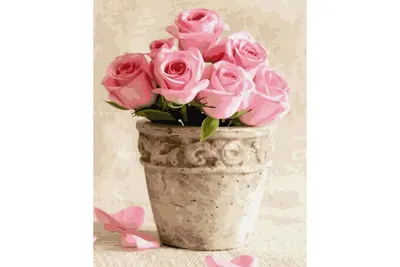 Розы в горшках: оберегайте их красоту на долгие годы