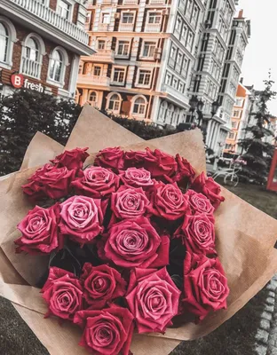 Фотография розы в hd качестве: скачать в формате jpg