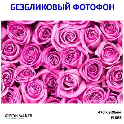Впечатляющие изображения роз: выбери размер и формат своего фото