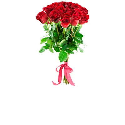 Прекрасные розы: скачайте их в формате jpg, png или webp
