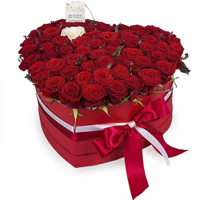 Фото высокого качества роз в коробке с днем рождения