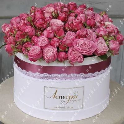 Фото роз в коробке с днем рождения - webp формат, большой размер
