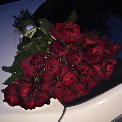 [38+] Розы в машине ночью фото