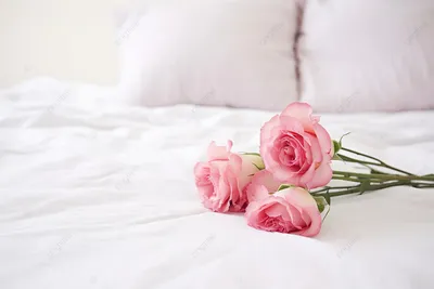 Роскошные розы в спальне: фотографии в форматах jpg, png, webp
