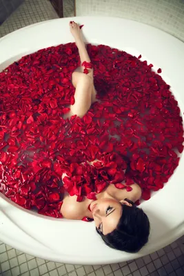 Розы в ванной: изображение средних размеров в формате png