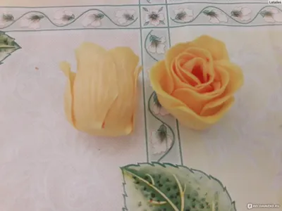 Розы в ванной: фото средних размеров в формате png