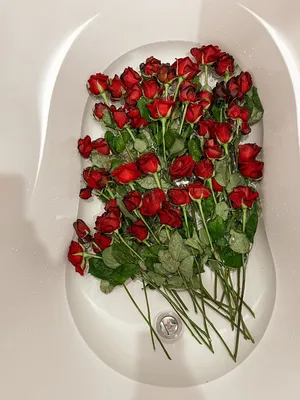Фото роз в ванной: картинка в формате webp для быстрой загрузки
