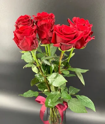 Красивая картинка роз – бесплатное изображение