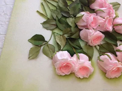 Изображение прекрасных роз, украшенных лентами, доступно в webp