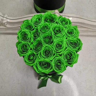 Фантастические зеленые розы: насладитесь красотой
