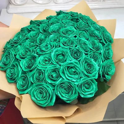 Удивительные розы зеленого цвета: картинки для скачивания