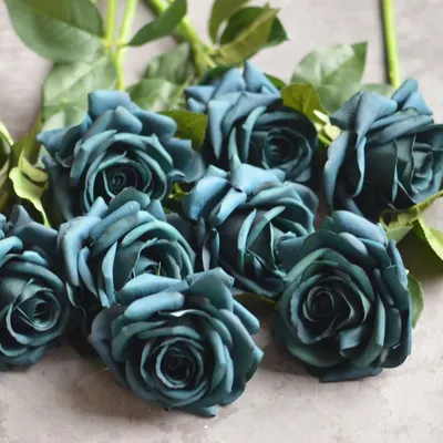 Прекрасные зеленые розы: выберите лучшую картинку