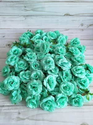 Превосходные розы зеленого оттенка: сохраните их в любом формате