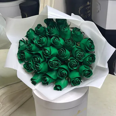 Волшебные зеленые розы: фотографии высокого разрешения