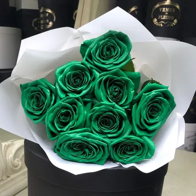 Шикарные розы: выберите размер и формат для загрузки