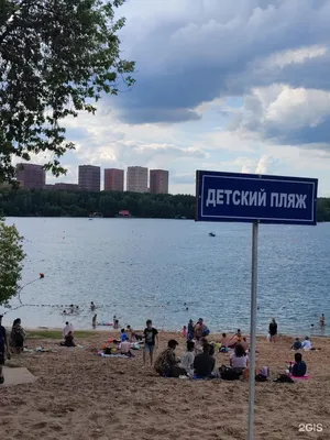 Фото Рублевского пляжа с зелеными деревьями и растениями