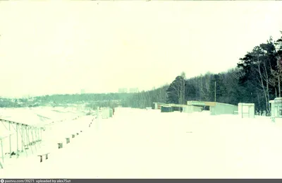 Откройте для себя великолепие Рублевского пляжа через фотографии