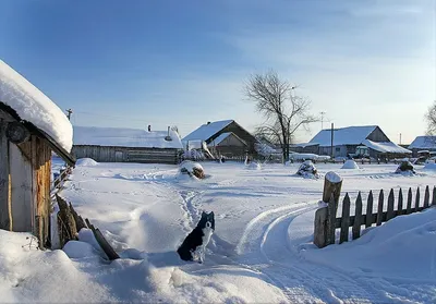 Зимние радости русской деревни на фото