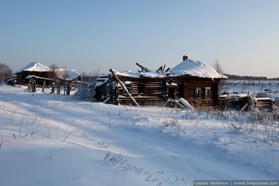 Зимние краски русской деревни: фотографии