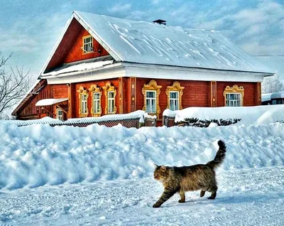 Фотка русской деревни зимой: заснеженная атмосфера