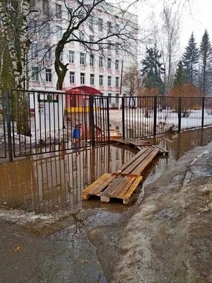 Весенние краски: удивительные фотографии Русской весны