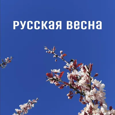 Русская весна: яркие снимки весенней природы