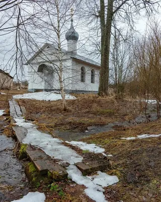 Русская весна: красота природы в фотографиях