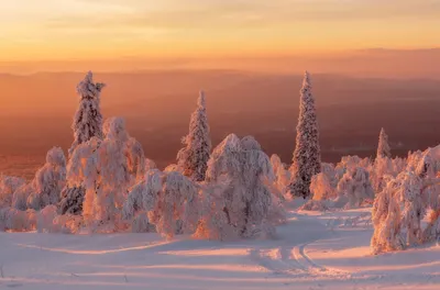 Зимняя краса: Русская зима природы