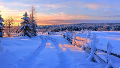 Сказочные зимние пейзажи: Фото русской природы