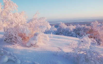 Иней и солнце: Фото русской зимы в высоком разрешении