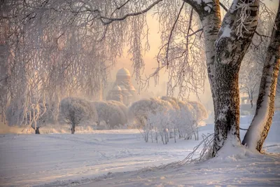 Белая гармония: Фотографии русской зимы в формате PNG