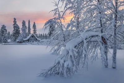 Снежные пейзажи: Изображения зимы в России