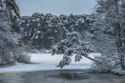 Белоснежные краски: Фото русской зимы в высоком разрешении