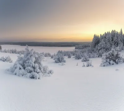 Морозные узоры: Фото русской зимы в формате WebP